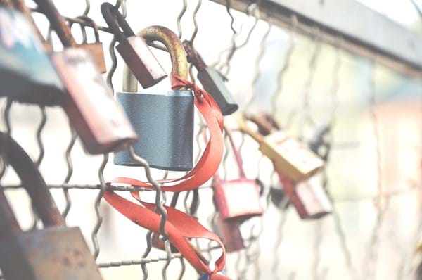 image with brightness adjusted